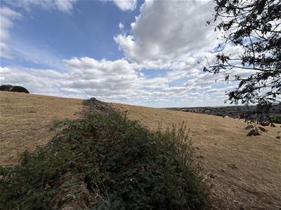 Picture 24